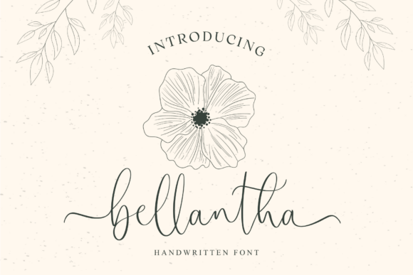 Bellantha: The Font That Boosted My Bakery’s Brand