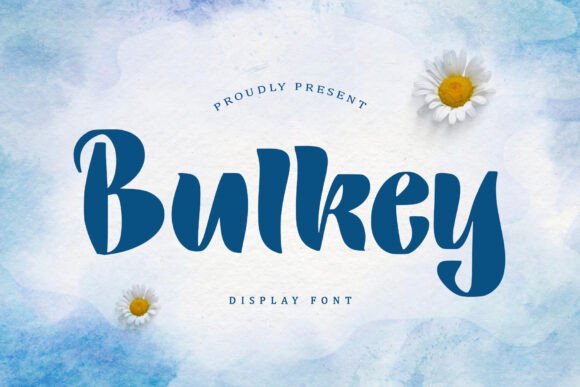Bulkey Font Review