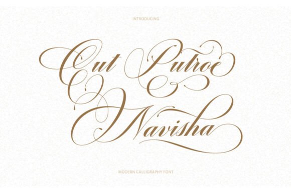 Cut Putroe Navisha: A Script Font for Web Design Excellence