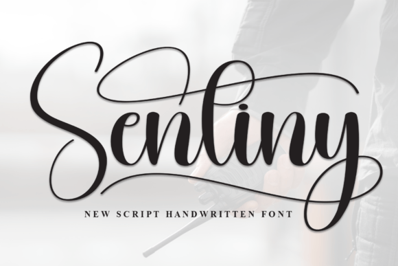 Font Choice That Elevates Your Web Design: Sentiny