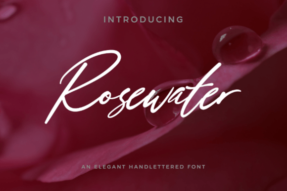 Introducing Rosewater: A Script Font for Sophisticated Branding