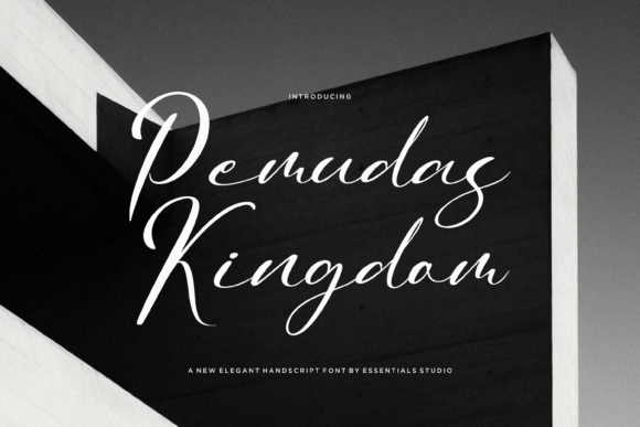 Pemudas Kingdom: A Script Font for Editorial Elegance