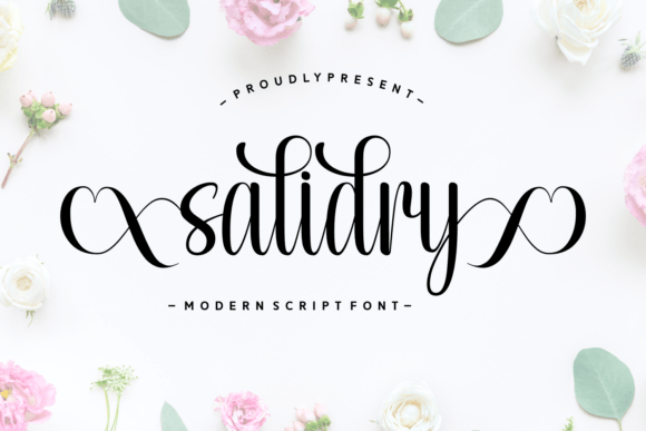 Salidry: A Font That Elevates Your Brand’s Visual Story